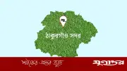ঘাস কাটতে গিয়ে বিদ্যুৎস্পৃষ্টে মুয়াজ্জিনের মৃত্যু