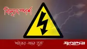 শেরপুরে ছেলেকে বাঁচাতে গিয়ে মায়ের মৃত্যু, আহত কৃষক