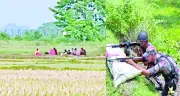 বেনাপোল সীমান্তে ‘পুশ-ইন’ চেষ্টা ব্যর্থ করেছে বিজিবি