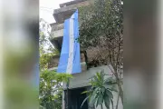 আর্জেন্টিনার পতাকা টাঙাতে গিয়ে মৌমাছির আক্রমণে আহত সমর্থক
