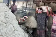 বাংলাদেশের নতুন ভিডিও কন্টেন্ট দর্শকদের মুগ্ধ করেছে