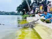 বাগেরহাটের মাজার দিঘিতে কুমিরের আক্রমণ: ঐতিহ্য বনাম নিরাপত্তা সংকট