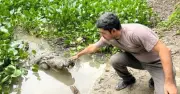 বাগেরহাটের ঐতিহাসিক দিঘি থেকে সর্বশেষ কুমির সরানো