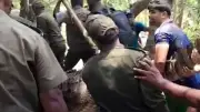 খানজাহান আলী মাজারের কুমির সরানো, বিশ্বকাপে বাংলালিংকের সম্প্রচার স্বত্ব