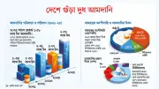 দেশে গুঁড়া দুধের বাজার ১৪ হাজার কোটি টাকা, চাহিদার ৯৫% আমদানি