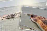 বাংলাদেশের নতুন শিক্ষানীতি অনুমোদন