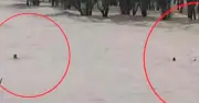 সীতাকুণ্ডে চার পর্যটককে উদ্ধার, সৈকতে লাল পতাকা