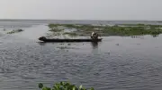 বন্যার পানিতে তলিয়ে গেছে কৃষকের স্বপ্ন, কাউয়াদীঘি হাওরে হাহাকার