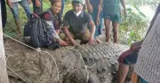বাগেরহাটের খান জাহান আলীর পুকুরের কুমির খুলনায় পুনর্বাসন কেন্দ্রে