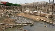 ঈদের সপ্তাহ পেরিয়েও সরেনি দিয়াবাড়ি অস্থায়ী পশুর হাটের কাঠামো