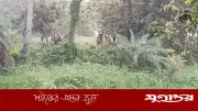 গোমস্তাপুর সীমান্তে ২৮ জনকে পুশইনের চেষ্টা, বিজিবির বাধায় ব্যর্থ
