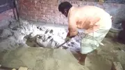 ডিএমপি কমিশনার রামিসা হত্যা মামলায় বিচার বিলম্বিত করতেই বিভ্রান্তি ছড়ানোর চেষ্টা