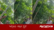 লোহাগাড়ায় সাংবাদিকের জমি দখলচেষ্টা, পরিবারকে মারধর ও হুমকি
