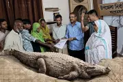 বাংলাদেশের নতুন শিক্ষানীতি ঘোষণা