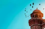 মদিনা মুনাওয়ারা: শান্তির নগর ও নবীজির প্রিয় শহর