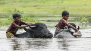 তীব্র দাবদাহে পুড়ছে ৩৮ জেলা; ডেঙ্গু লার্ভার উপদ্রব বাড়ছে