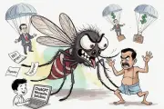 মশা গবেষণায় বিদেশ না গিয়ে দেশীয় সমাধানের আহ্বান প্রধানমন্ত্রীর