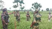 লালমনিরহাট সীমান্তে ৩৩ জনকে পুশব্যাকের চেষ্টা, বিজিবির বাধা