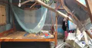 কুড়িগ্রামে কালবৈশাখী ঝড়ে গাছ উপড়ে দুই বাড়ি বিধ্বস্ত