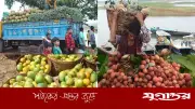 মধুমাসে মধুফলের ঘ্রাণে বিমোহিত রাঙামাটির পাহাড়