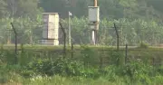 নওগাঁ সীমান্তে ১৭ জনকে পুশ-ইনের চেষ্টা বিএসএফের