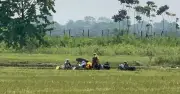 বাংলাদেশ-ভারত সীমান্তে উত্তেজনা, বিজিবি-বিএসএফ বৈঠক অনুষ্ঠিত হবে