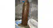 সাতক্ষীরায় সীমান্ত পিলারসহ চারজন আটক