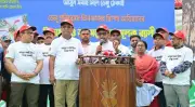 বাংলাদেশের নারী ক্রিকেট দলের ঐতিহাসিক সাফল্য