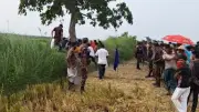 টানা ছুটি শেষে রোববার খুলছে শিক্ষাপ্রতিষ্ঠান