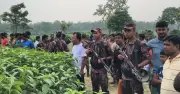 মেহেরপুর সীমান্তে বিএসএফের পুশ ইন ব্যর্থ, ছয় জন আটকা