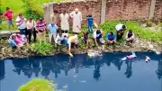 বাংলাদেশের নতুন শিক্ষানীতি ঘোষণা