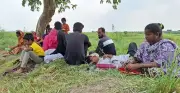 ঝিনাইদহ সীমান্তে বিএসএফের পুশ ইন চেষ্টা প্রতিহত করল বিজিবি