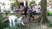 জমি বিরোধে ভাতিজার হামলায় চাচা নিহত, আখাউড়ায় ডেঙ্গু প্রতিরোধে র্যালি