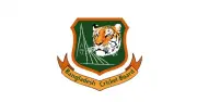 বিসিবি নির্বাচন কাল, ১৫ পরিচালক পদের ভোট