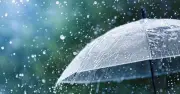 দেশের বিভিন্ন অঞ্চলে বৃষ্টির পূর্বাভাস দিয়েছে আবহাওয়া অধিদপ্তর