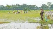 বিএসএফের পুশ ইন ঠেকাতে ২৬ জেলায় ৬০ হাজার বিজিবি মোতায়েন