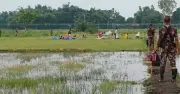 বাংলাদেশি সন্দেহে পুশব্যাক: পশ্চিমবঙ্গে বিক্ষোভের ডাক এপিডিআরের