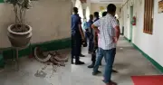 ময়মনসিংহ জেলা প্রশাসকের কার্যালয়ে দুই বিএনপি নেতার মারামারি