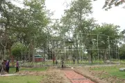 রাজশাহী বোটানিক্যাল গার্ডেনে আসছে আট ময়ূর, নির্মাণ হচ্ছে বিশেষ খাঁচা