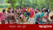 ধনবাড়ীতে রাইস মিলে অগ্নিসংযোগ ও পুকুরের মাছ নিধনে চাঞ্চল্য