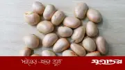 কাঁঠাল বীজের পুষ্টিগুণ: স্বাস্থ্য সুরক্ষায় অমূল্য সুপারফুড