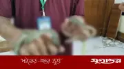 ডিআইজির অফিস থেকে উদ্ধার দুই কালনাগিনী সাপ