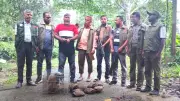পাচারকালে হনুমান ও ১২ কচ্ছপ উদ্ধার, এক ব্যক্তি আটক