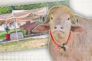 ঢাকায় ইফতার বিতরণে হাজারো মানুষের ভিড়