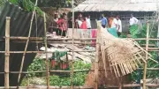 সরকারি জমি দখল করে গড়া ভেড়ার খামার উচ্ছেদ