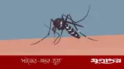 ডেঙ্গু আক্রান্ত হয়ে আরও ৬৮ জন হাসপাতালে ভর্তি