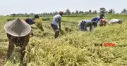 কৃষি খাত চাঙাতে ১০ হাজার কোটি টাকার তহবিল গঠনের ঘোষণা অর্থমন্ত্রীর
