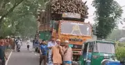 টাঙ্গাইলে পিকআপ-ট্রাক সংঘর্ষে ৪ নিহত