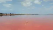 আন্তর্জাতিক সংবাদ: ভিডিও প্রতিবেদন