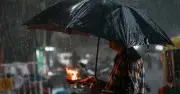 ভারতে মৌসুমি বায়ুর অগ্রগতি ধীর, কেন এ অবস্থা?
